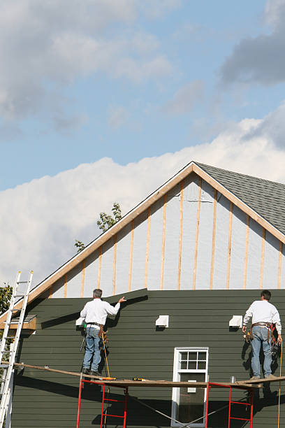 Shed Removal in Belvedere, CA